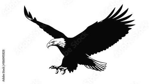 Silhouette vector of an eagle in flight on white background silhouette vector on whit background