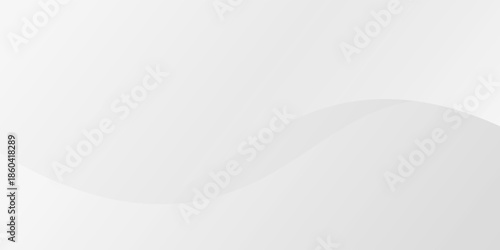 Abstract minimalist white and gray curve modern background. texture white pattern. vector illustration