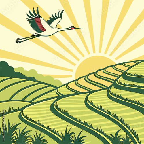 Terraced rice fields landscape with flying crane and rising sun vector illustration of asian rural farm scene with green mountains and morning sunlight rays in vintage style for travel background