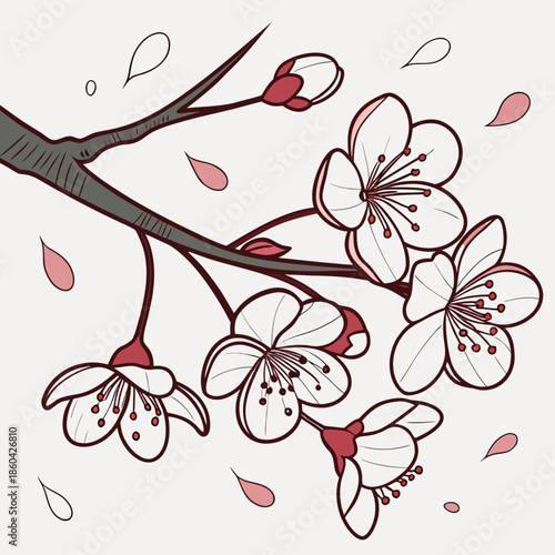 Delicate cherry blossom branch illustration with soft pink petals falling in springtime nature scene drawing