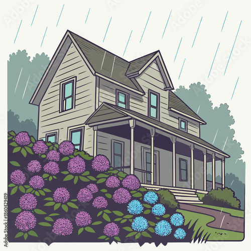 Charming vintage american farmhouse vector illustration on a rainy day featuring a wraparound porch and abundant purple and blue hydrangea bushes covering the front yard landscape