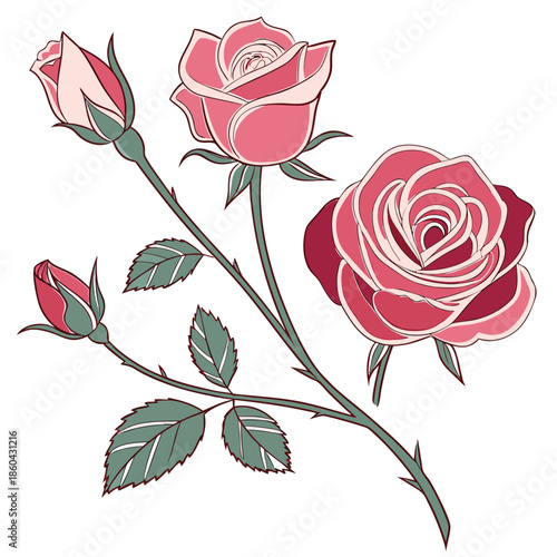 Set of four elegant pink roses including open blooms and closed buds with green leaves detailed floral illustrations on white background romantic botanical elements