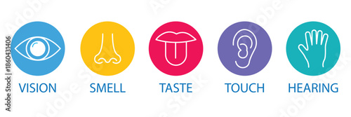 Human senses icon set. Vision eye, smell nose, hearing ear, touch hand, taste mouth with tongue. set of human five senses icon. Vector illustration. EPS 10