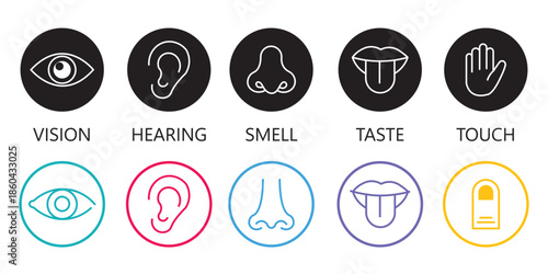 Five human senses flat vector icon set. Vision touch hearing taste smell senses collection. Human fillings icons. Human nervous system senses. Eye hand ear mouth nose icons set. Line icons. Vector EPS