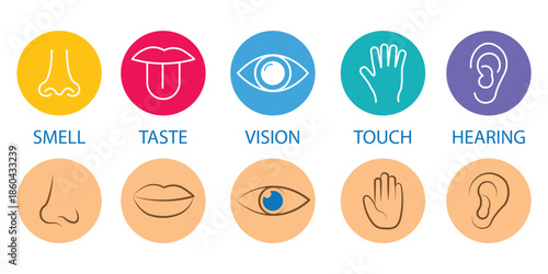 A collection of five colorful icons representing the human senses sight hearing smell taste and touch.
