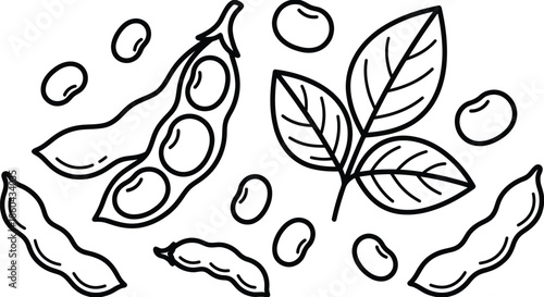 Soybean Pods Silhouette Line Art Vector Illustration on White Background