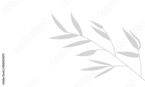 Shadow of a bamboo branch with leaves vector for abstract decoration, summer pattern, organic nature design . 