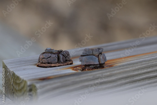 Canvas Print Rusted bolt with corrosion stains
