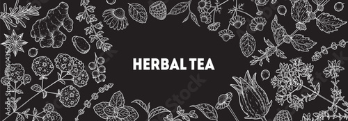 Herbal Tea vector drawing illustration. Herbal tea ingredients. Healthy food and drink . Vector drawing sketch collection. Engraved style.