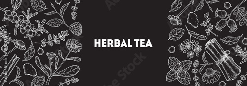 Herbal Tea vector drawing illustration. Herbal tea ingredients. Healthy food and drink . Vector drawing sketch collection. Engraved style.