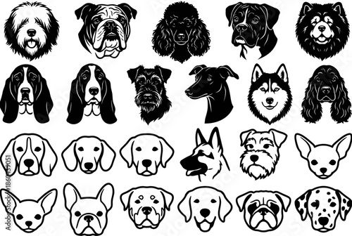 Collection of various dog breeds isolated on white background, Vector, illustration