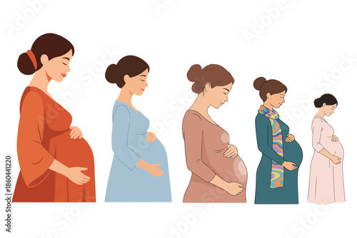 Stages of pregnancy illustrated with women in profile from early to late term