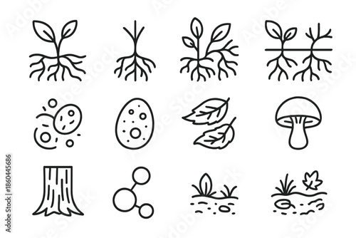Plant-Fungi Symbiosis Icons. Line style icons of Plant-Fungi Symbiosis: Mycorrhizal Association, Root System, Nutrient Transfer,