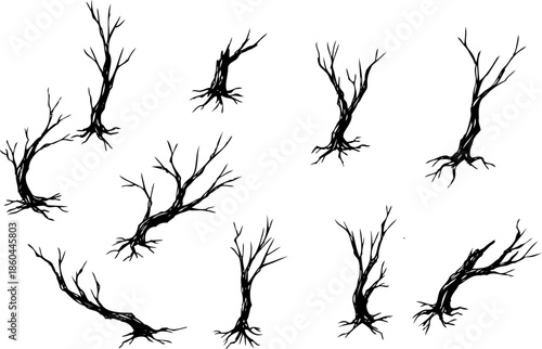 dead tree sketches with roots, leafless winter branches collection.