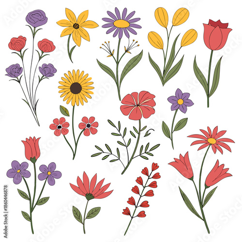 Wallpaper Mural Different Flower Illustrations Collection – Botanical Floral Art Set Torontodigital.ca