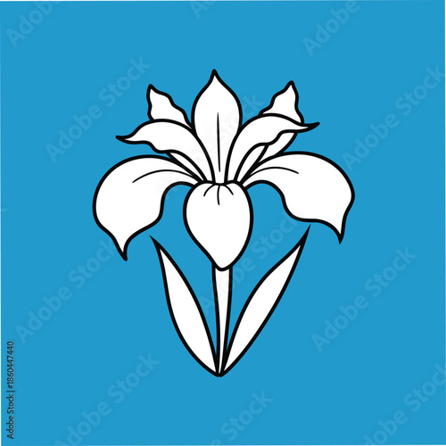 Vector line artwork of an iris flower on blue.