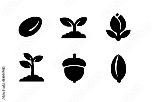 Seed Growth Icons. Solid vector icons of seeds and growth: seed, sprout, bud, sapling, acorn, grain No text, No labels, isolated