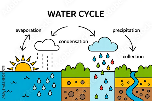 A simple educational infographic illustration of the water cycle