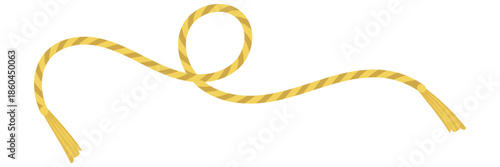 Golden Rope Curves Decorative Elements. Collection of golden rope curves and loops isolated on white background, decorative design elements for luxury, festive, and ornamental concepts.

