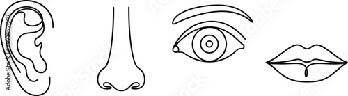Minimalist line art collection of human sense organs featuring detailed outline illustrations of ear nose eye and lips for medical and artistic design