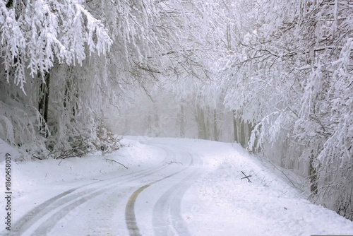 Wallpaper Mural snow covered road Torontodigital.ca