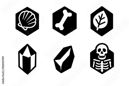 Fossilized Icons Collection. Solid style icons of fossilized information: shell prism, bone prism, imprint leaf, prism crystal,