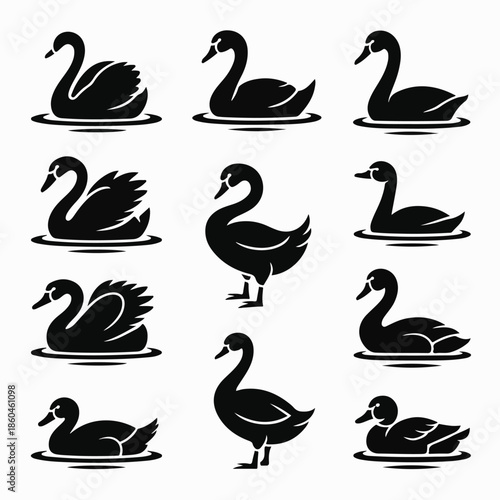  Black Swan and Duck Silhouette Vector Icon Set