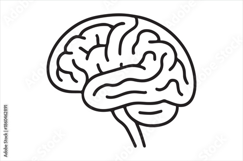 Simple line drawing of a human brain showcasing its complex structure