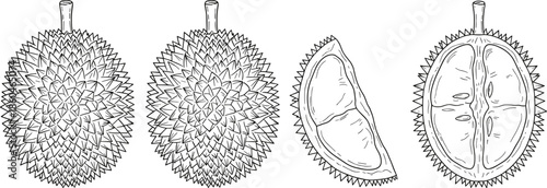 Detailed Outline Vector Icon Set Featuring Whole and Halved Durian Fruit with Sharp Spines for Exotic Grocery Branding