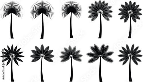 Black palm tree silhouettes collection with abstract tropical foliage shapes isolated on white background vector illustration