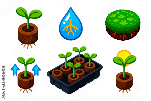Peat Pod Nursery. Isometric vector illustration set Peat Pod Nursery: sprouting seedlings, peat pod trays, nutrient water droplets