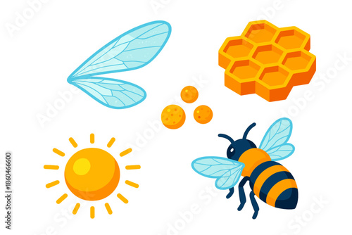 Bee Icons Collection. Isometric vector illustration set Bee Wing Transparency: translucent bee wings, honeycomb fragment, tiny