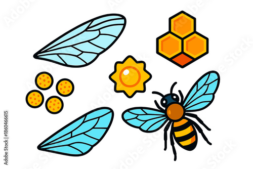 Bee Anatomy Icons. Isometric vector illustration set Bee Wing Transparency: fragile bee wings, honeycomb fragment, pollen grains,