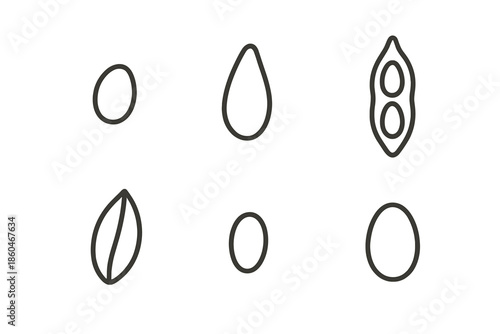 Harvest Seeds Icons. Line style icons of Harvest Seeds: tiny kernel, soft curve, natural pod, small outline, gentle shell form,