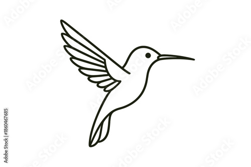 Hummingbird Line Icon. Line style icons of Hummingbird: hovering hummingbird, open wings, long beak, curved body, tiny tail,