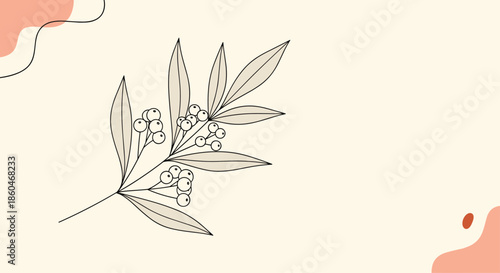 Delicate hand drawn branch with small berries and elongated leaves in a soft neutral color palette for minimalist designs.