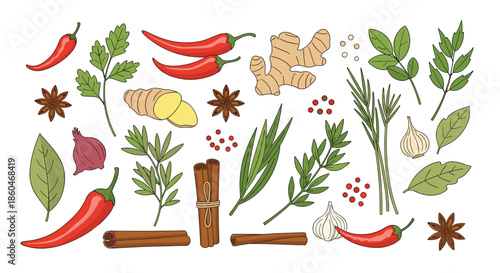 Comprehensive set of various cooking spices herbs and aromatic ingredients illustrated in a clean vector style for culinary concepts.
