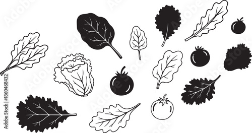 Assorted Leaf Vegetables Illustration