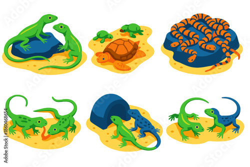 Reptile Social Behaviors. Isometric vector illustration set Social learning in reptiles: lizard peer observation, turtle