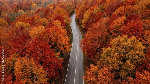 Aerial view of winding road through vibrant autumn forest with colorful fall foliage