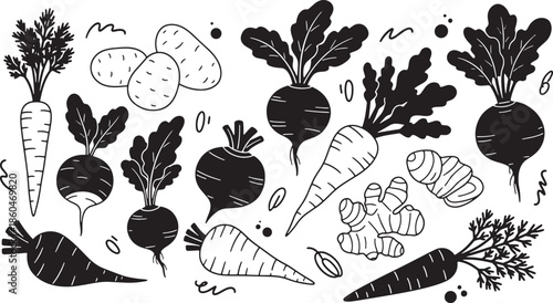Vegetable Illustrations Set