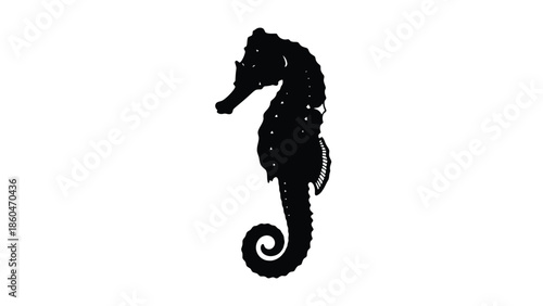 Seahorse silhouette underwater vector illustration