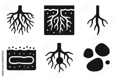 Twilight Root Icons. Solid style icons of twilight root systems: tangled roots, soil layer, root tip, underground tunnel, nutrient