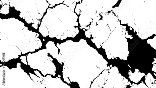 An abstract black and white image depicting a cracked or fractured surface resembling marble or dry earth