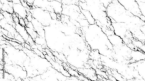 An abstract composition of swirling black lines against a pristine white background resembling fractured marble or veins