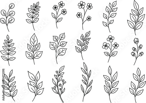 a collection of delicate floral line art featuring various botanical branches and blossoming flowers arranged in neat rows high quality professional
