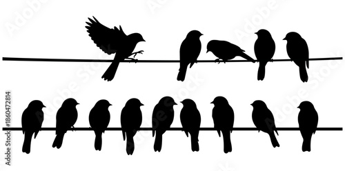 Silhouette Symphony: A captivating scene showcases the elegant silhouettes of several birds perched on electrical wires, gracefully set against an understated background, embodying unity.