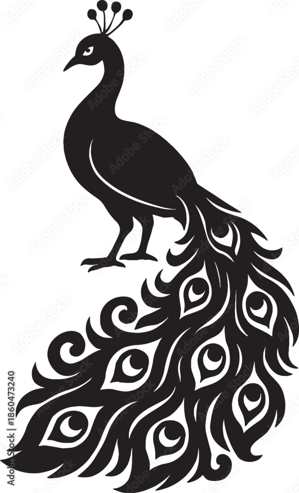 Fototapeta premium Peacock silhouette with elegant tail feathers