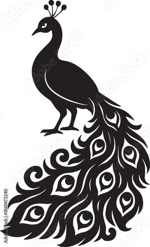 Peacock silhouette with elegant tail feathers