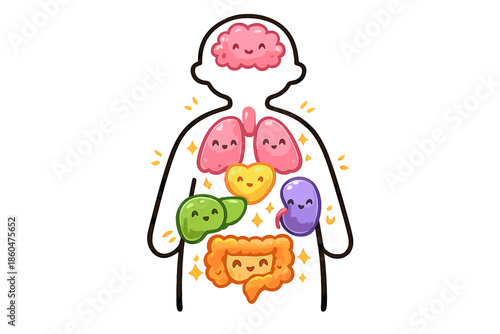 Organism Detox Map. Doodle-style vector icon of an organism detox map, organs represented as cute glowing shapes inside the body,
